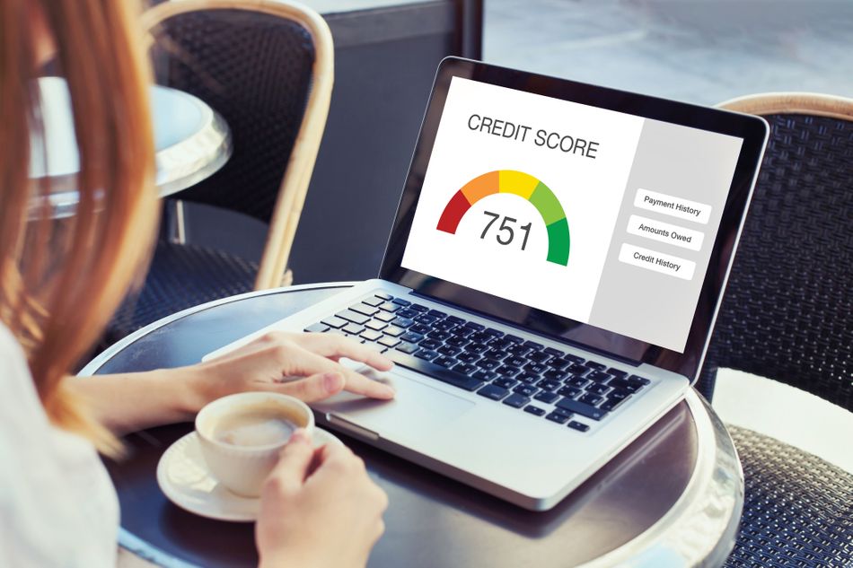 Credit Monitoring Software